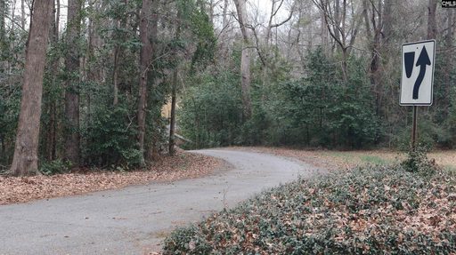 291 Big Timber Drive pending home in Big Timber, Lexington, SC