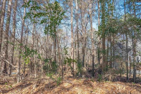 220 Waterville Drive