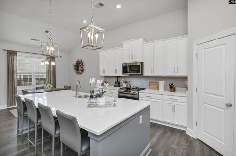 208 Doe Meadow Lane pending home in Clubridge At Woodcreek Farms, Elgin, SC