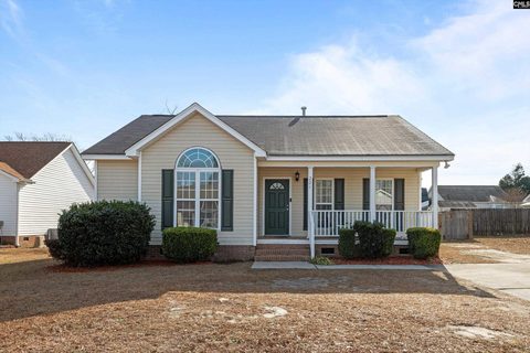 221 Colony Lakes Drive