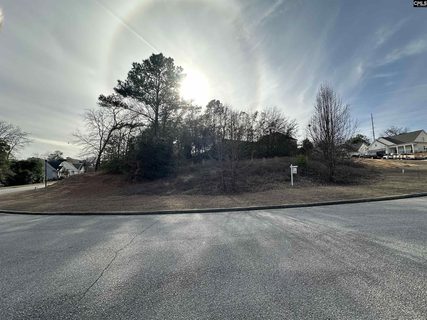 129 Mayhaw Drive active home in Rockbridge Village, Columbia, SC