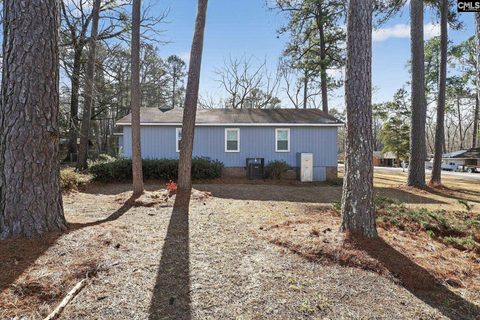 108 Snow Lane
