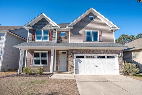 Homes in Park West, Chapin