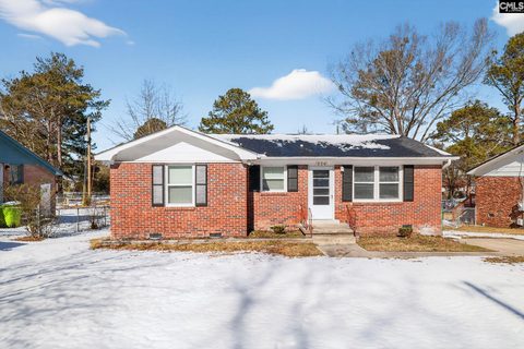 Homes in Horseshoe Acres, Columbia