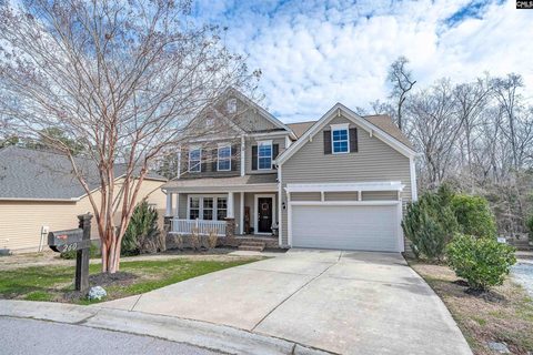 Homes in Eagle Pointe, Chapin