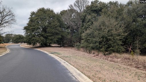 211 Ascot Drive