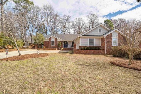 216 E Passage Drive