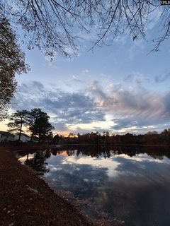 405 Magnolia Tree Road