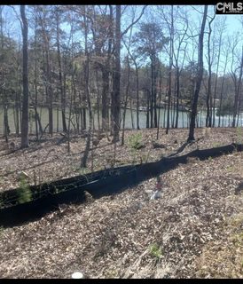 1061 Refuge Place active home in Whitewater Landing, Chapin, SC