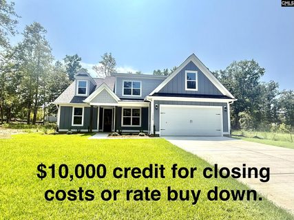 1008 Refuge Place active home in Whitewater Landing, Chapin, SC
