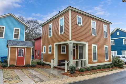 Homes in St Anns Alley, West Columbia