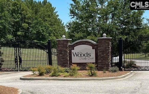 290 Retreat Way active home in The Woods Of Molly Creek, Ridgeway, SC