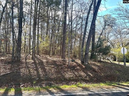 Holley Ferry Road active home in Lake Murray Shores, Leesville, SC