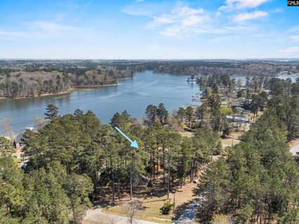 260 Cove View Road active home in Grant Williams Estates, Prosperity, SC