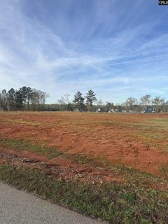 Clouds Creek Circle pending home in Palmetto Pointe, Leesville, SC