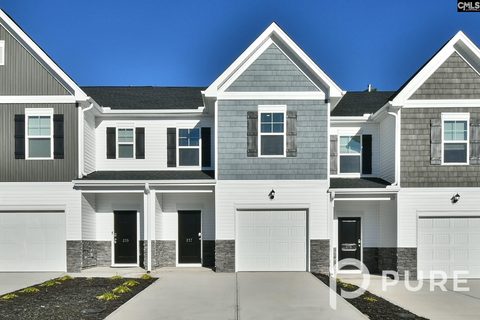 217 Sunny Hill Drive