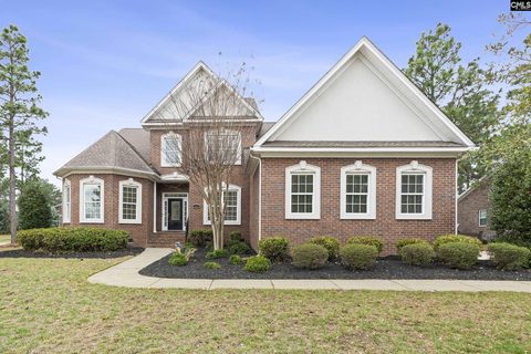 Homes in Lake Carolina - The Peninsula, Columbia