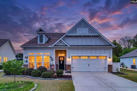 717 Carolina Aster