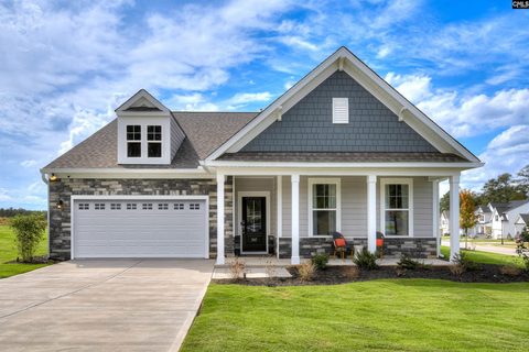 605 Basalt Court active home in Chapin Place, Chapin, SC