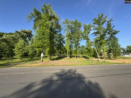 238 Navigator Trail active home in Breakwater At Woodside Shores, Prosperity, SC