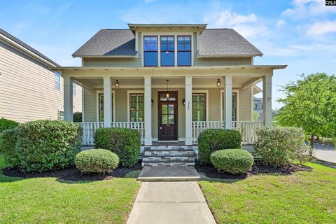 217 Baysdale Drive active home in Lake Carolina - Woodleigh Park, Columbia, SC