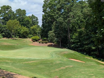 1060 Coogler Crossing Drive pending home in Cobblestone Park, Blythewood, SC