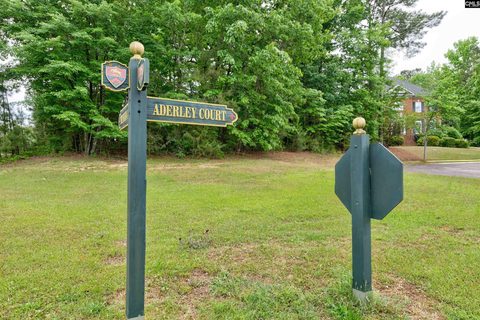 1 Aderley Court active home in Ascot Place, Irmo, SC