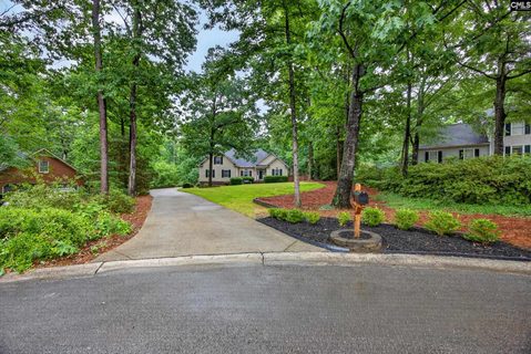 248 Platinum Drive