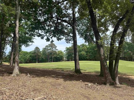 537 Misty Banks Drive active home in Whitewater Landing, Chapin, SC