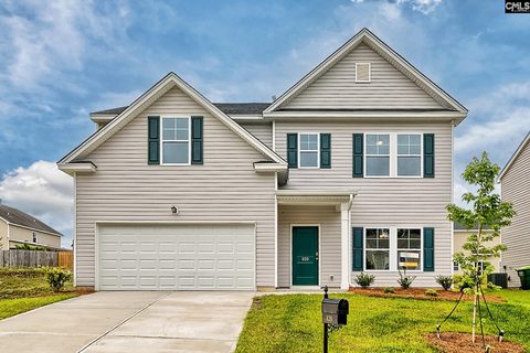 820 Daniel Lake Court