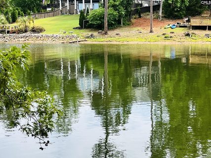 Homes in Lake Murray Shores, Leesville