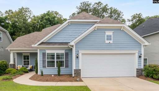 482 Malachite Lane active home in Portrait Hill, Chapin, SC