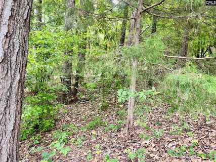 Tbd Aiken Street pending home in Lake Murray Shores, Leesville, SC