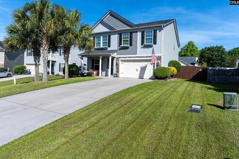 628 Colony Lakes Drive