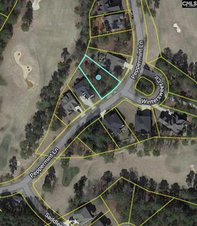 129 Peppermint Lane pending home in Cobblestone Park, Blythewood, SC