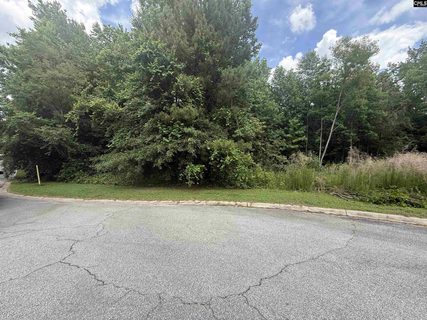 239 Fair Ridge Lane active home in Oakhurst, Blythewood, SC