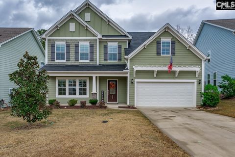 822 Ruskin Drive active home in Portrait Hill, Chapin, SC