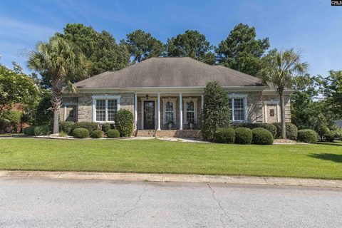 216 Pointe Overlook Drive pending home in Timberlake - Overlook Pointe, Chapin, SC