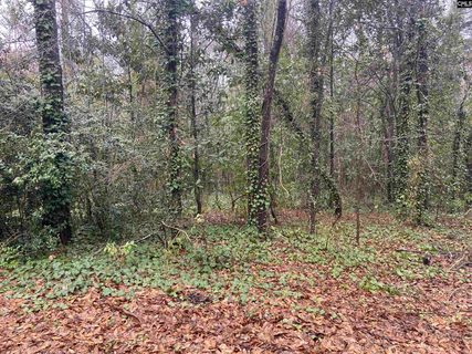 1951 Forest Drive 32 active land listing in Kirkover Hills, Camden, SC