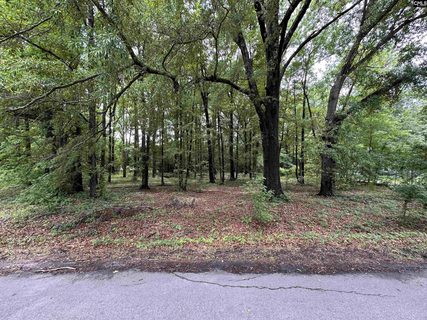 Homes in Riverland Park, Cayce