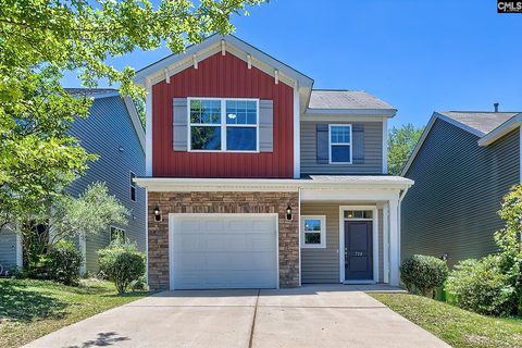 Homes in Hawkins Creek, Blythewood