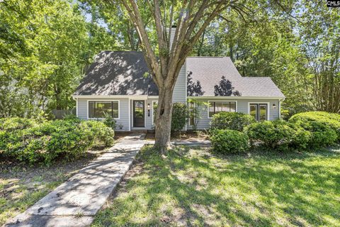 1 Pioneers Point Court active home in Settlers Station, Irmo, SC