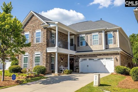 Homes in Lakeport, Chapin