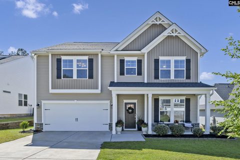 209 Chapin Place Way active home in Chapin Place, Chapin, SC