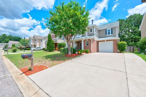 Homes in Spears Creek Village, Elgin