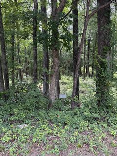 1409 Mullis Road pending home in Blythewood Oaks, Blythewood, SC