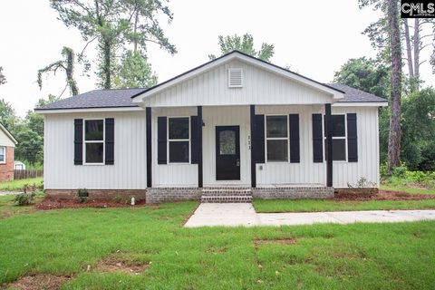 113 Downing Street active home in Heyward Park, Columbia, SC