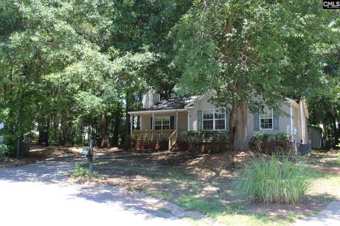 14 Holliston Court pending home in Firebridge, Chapin, SC