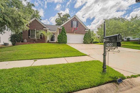 300 Cabin Drive