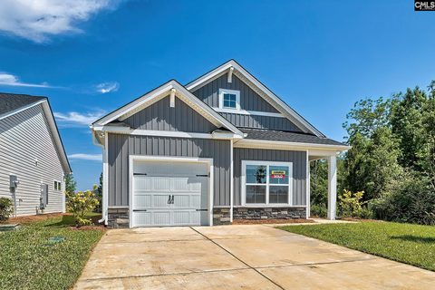 207 Calm Citadel Drive